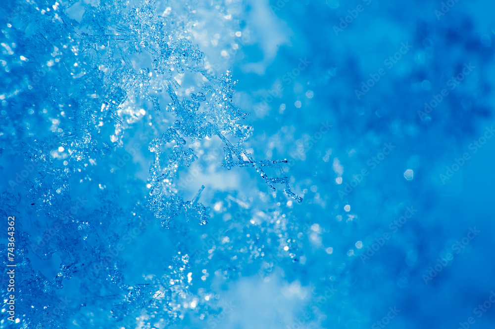 Fototapeta premium Detail of ice crystal and snowflakes