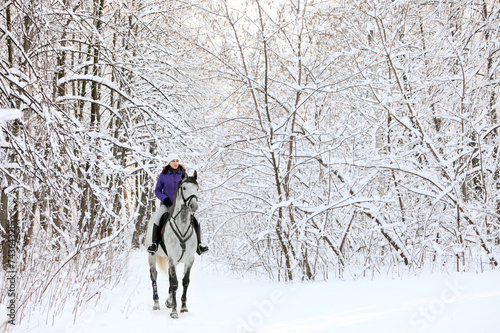 Rider on horse at edge of snow covered woodland in winter