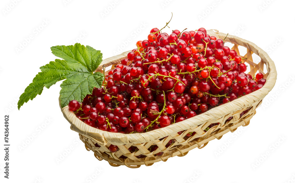 Red currant Red currant