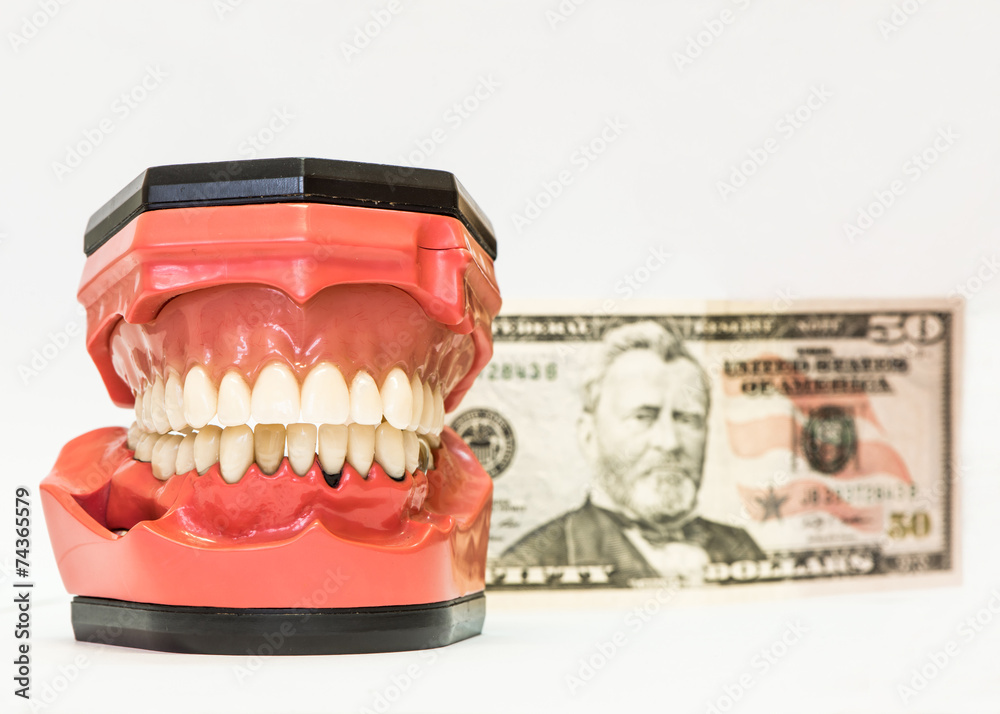 Dental dentures isolated on white Dental dentures isolated on white