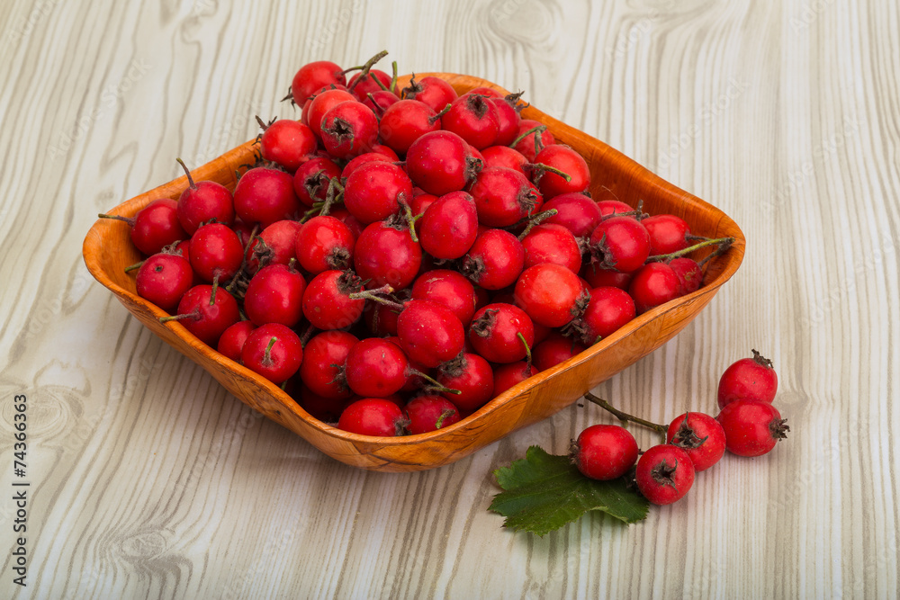 Hawthorn Hawthorn