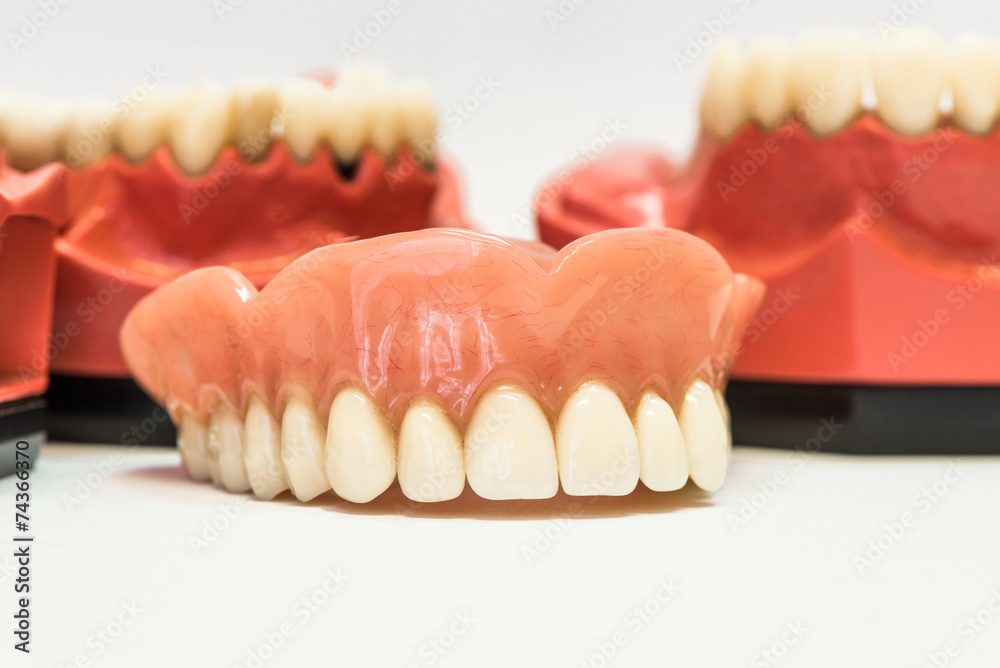 Dental dentures isolated on white Dental dentures isolated on white