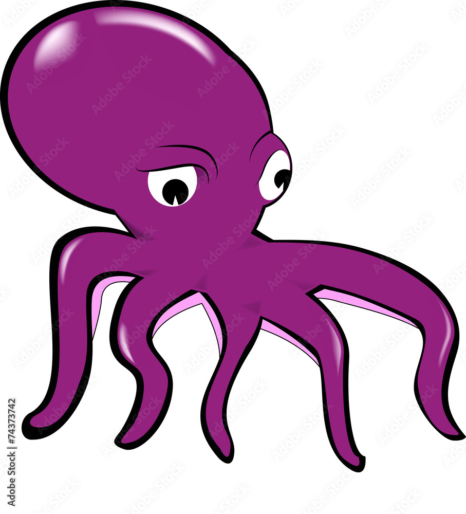 squid squid