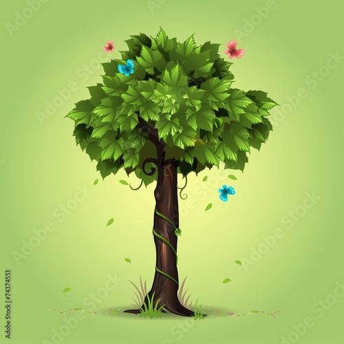 Summer tree