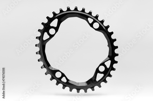 Bicycle chainring photo