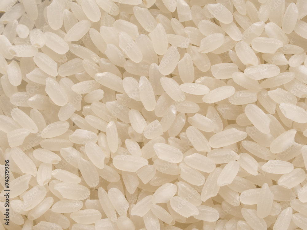 short grain japanese calrose rice food background