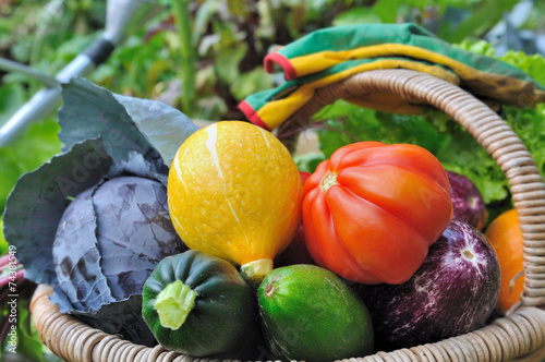 légumes frais dans panier