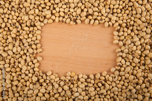 Soybeans with rectangular copy space
