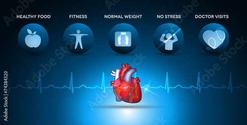 Cardiology health care icons and heart anatomy
