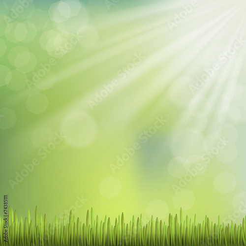close-up look at natural grass background