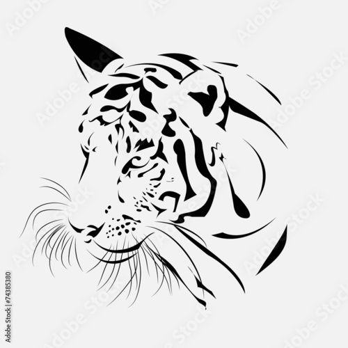 tiger