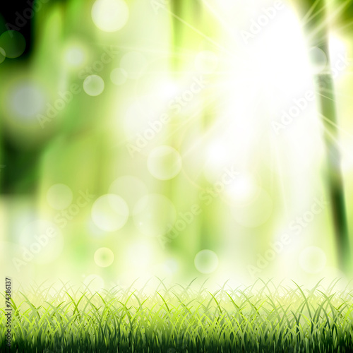 close-up look at natural grass background