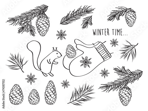 Winter pictures. Cones, spruce and pine spruce, squirrel.