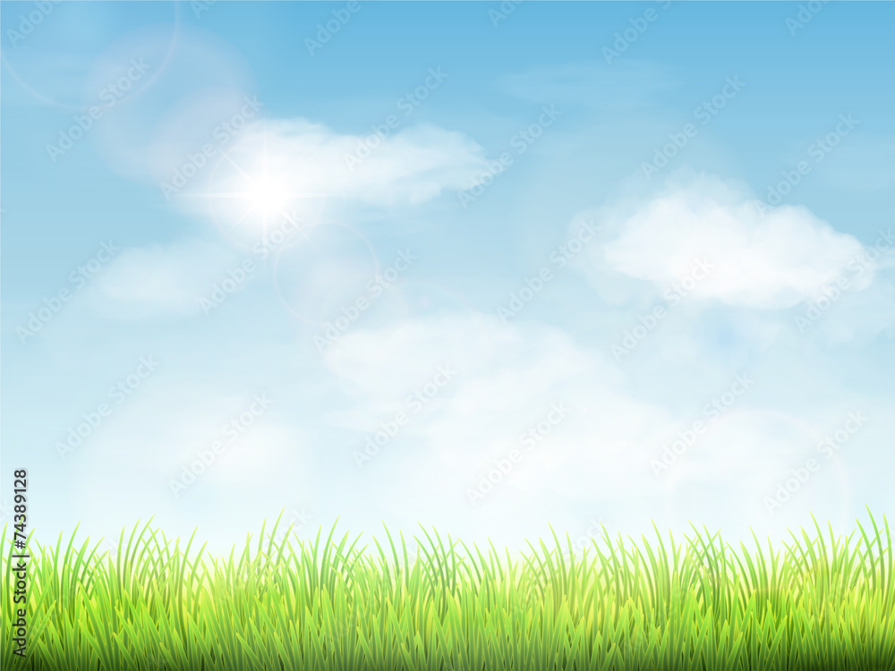 blue sky and field of green grass