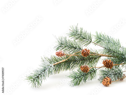 Christmas decoration