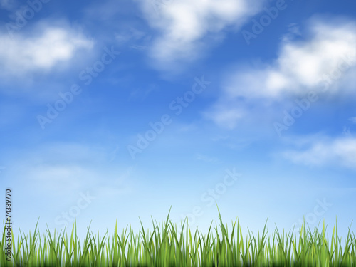 blue sky and field of green grass