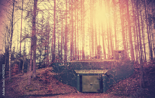 Scary bunker hidden in a forest with surreal colors, Podborsko, Poland. photo