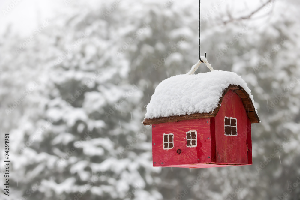 Naklejka premium Bird house with snow in winter