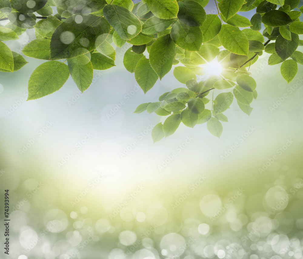 Obraz premium spring background