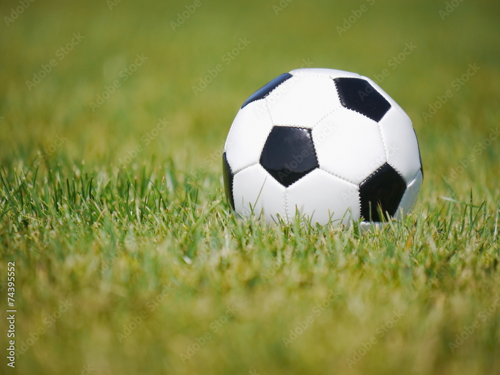 football soccer grass football soccer grass