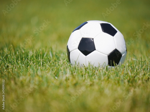 football soccer grass © flucas