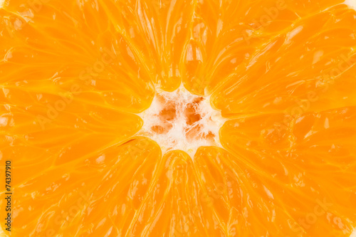 Orange marco shot