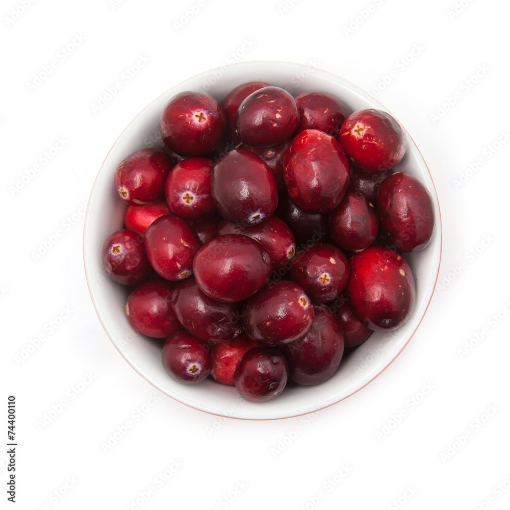 Fresh American Cranberries Fresh American Cranberries