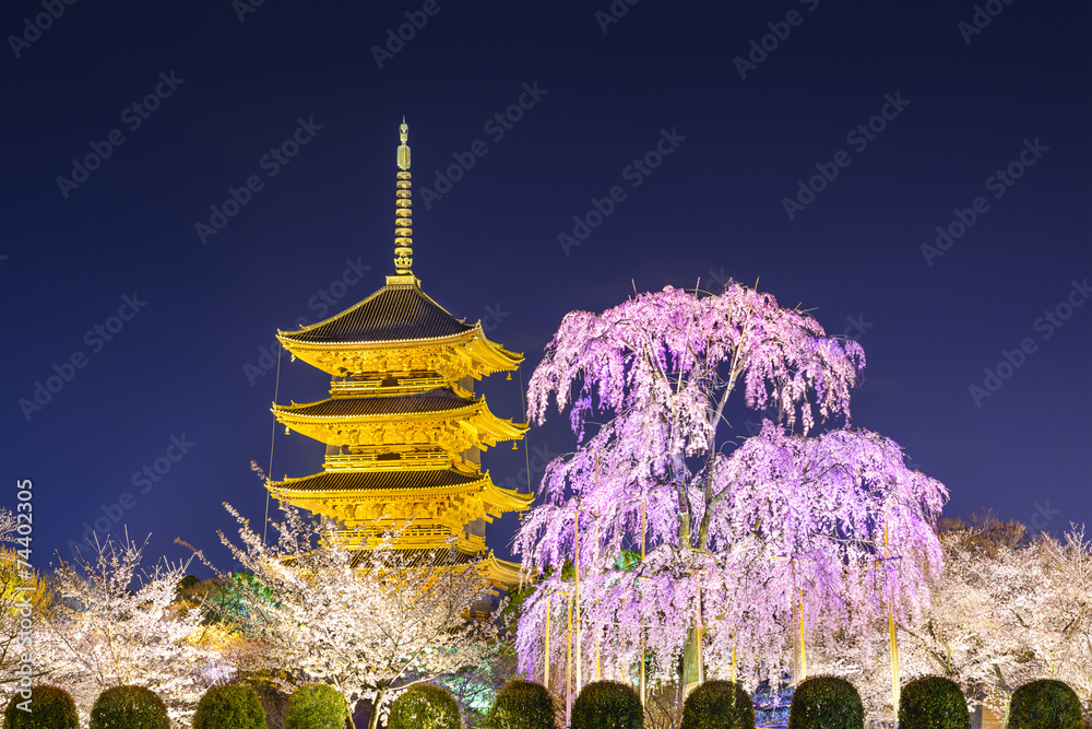 Naklejka premium Kyoto, Japan at Toji Pagoda in the Spring
