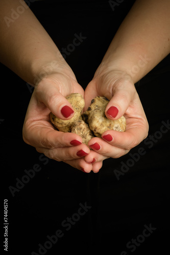 Tartufo bianco d' Alba