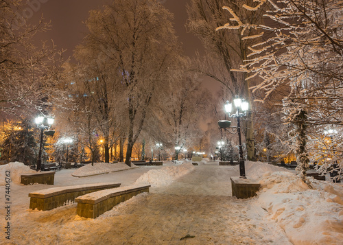 Winter park in the evening covered with snow