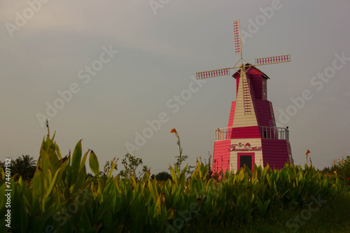 Beautiful flower garden with pink winmill photo