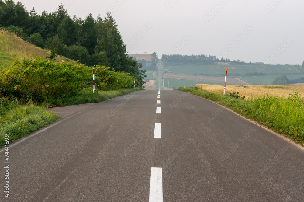 Fototapeta premium Rollercoaster road in Biei, Japan. Taken under Summer sunset.
