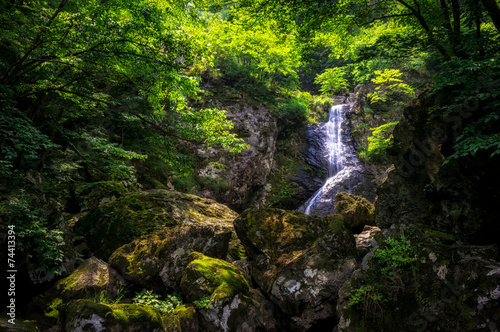 Waterfall over a mossy creek taken in Wanju  South Korea