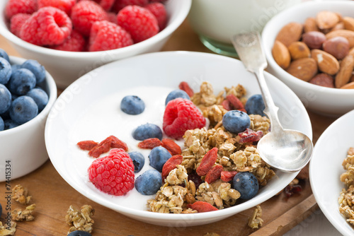homemade muesli with fresh berries and yogurt for breakfast