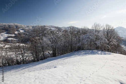 Fototapeta Naklejka Na Ścianę i Meble -  winter landscape