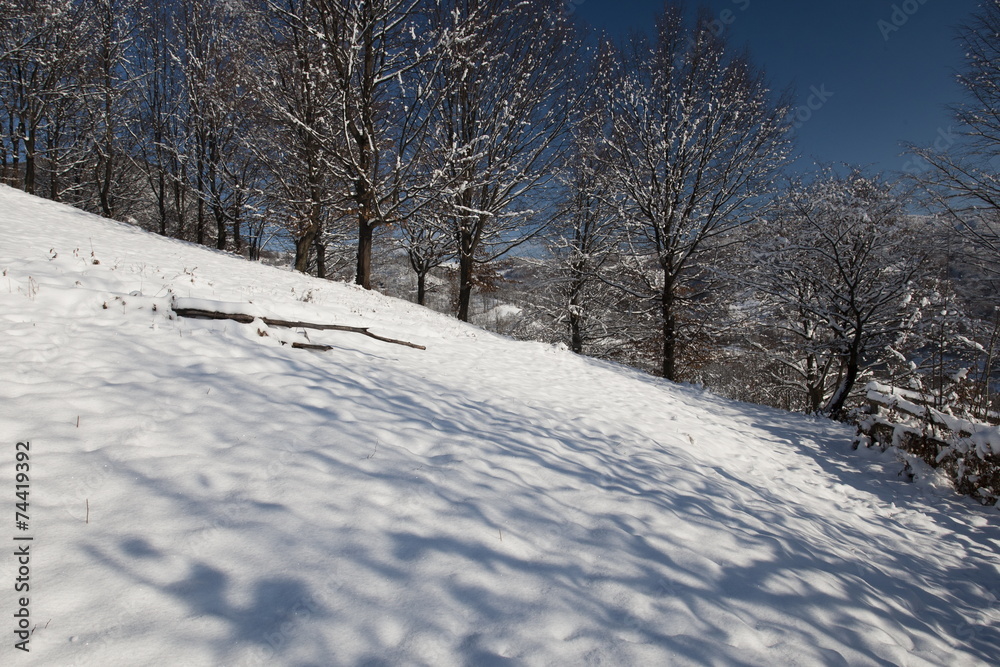 Fototapeta premium winter mountain landscape
