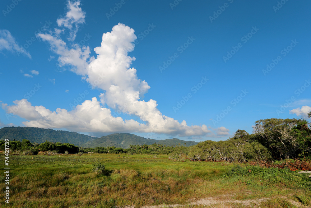 tropical landscape with cloud tropical landscape with cloud
