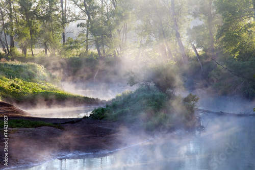 fog on the river