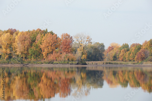 autumn trees reflected in the river