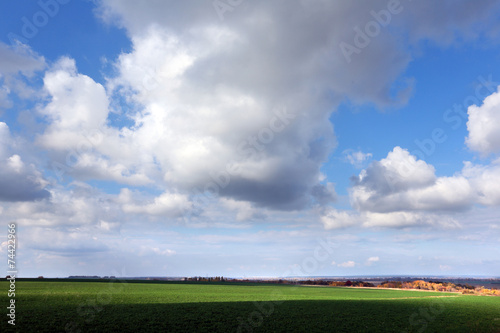 autumn landscape