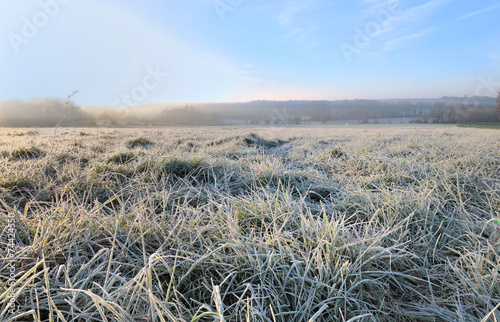 herbe recouverte givre