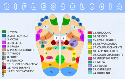 reflexology photo