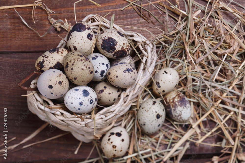quail eggs quail eggs