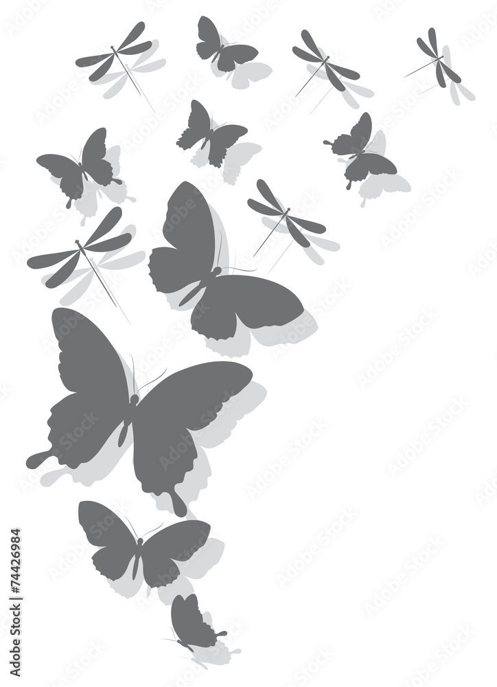butterflies design butterflies design