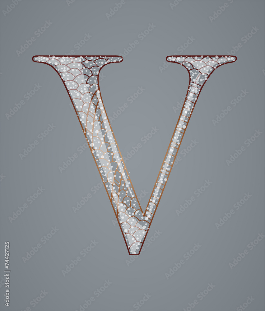 Fototapeta premium Abstract letter V. Illustration 10 version