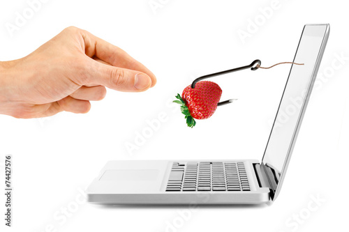 internet fraud concept. hook with bait through laptop screen