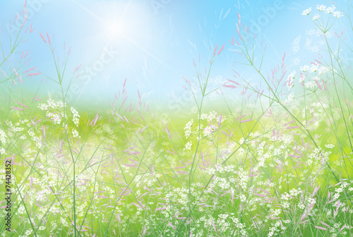 Spring floral  background.