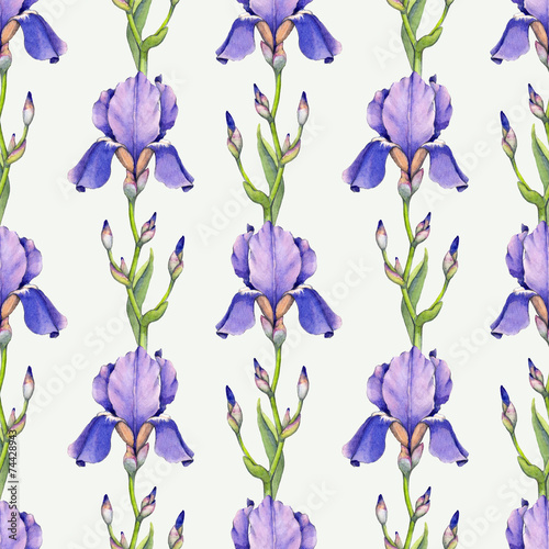 Fototapeta Naklejka Na Ścianę i Meble -  Watercolor iris flower illustration. Seamless pattern