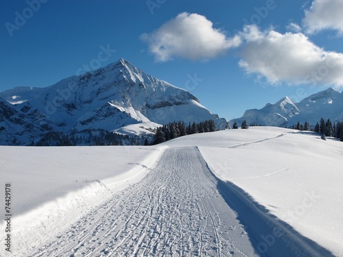 Ski slope on the Wispile, Spitzhorn photo