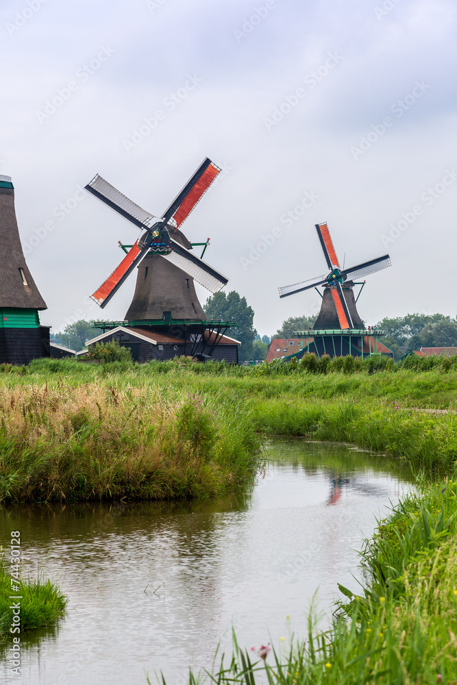 Fototapeta premium Wind mills in Holland
